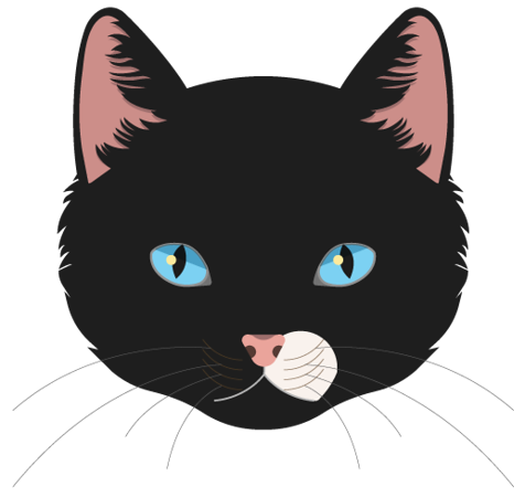 Katy the cat head icon