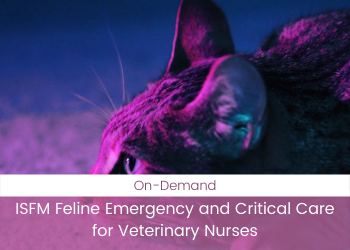ISFM Feline Emergency and Critical Care for Veterinary Nurses