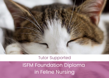 ISFM Foundation Diploma in Feline Nursing